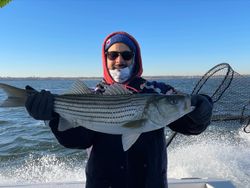 Striped bass caught in NJ