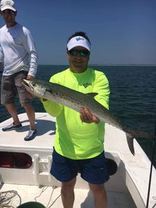 Atlantic Spanish Mackerel From Carrabelle, FL