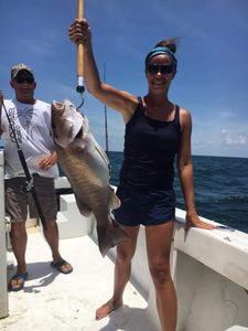 Mangrove Snapper Fishing In Florida