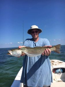 Trout Fish Hooked From Dog Island, Fl