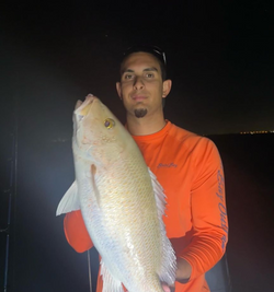 A single fishing excursion in FL