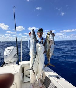 Two big fish caught in FL on cruises, fishing, and tours