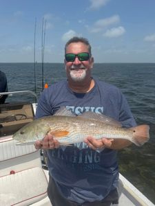 Fresh redfish catch, bright day on the water.