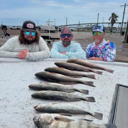 Fresh catch lineup with proud anglers at dockside.