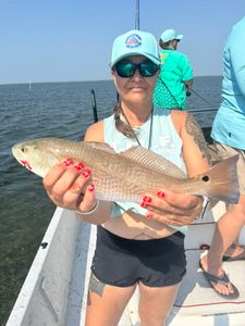Strong catch shown by a confident angler.