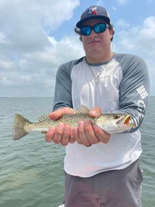 Speckled Trout galore in Aransas Pass!