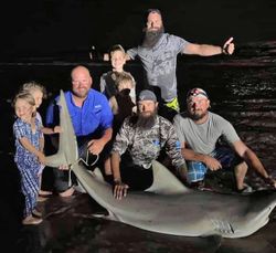 Bull shark caught fishing in TX