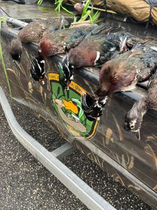 Experience the thrill of waterfowl hunting in Crystal River.