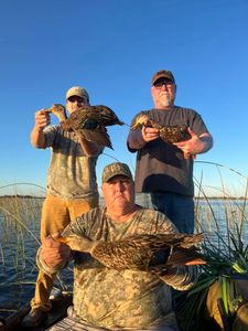 Two big fish caught while fishing and hunting in Crystal River