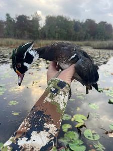 Stunning fishing and hunting adventure in FL