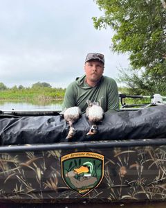 Angler standing in Crystal River, best fishing and hunting adventure