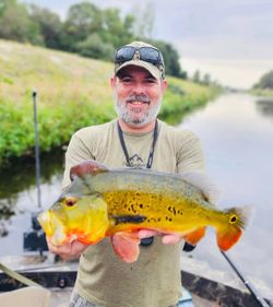 One person fishing in FL
