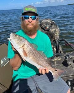 Angler with 17-inch fish in Crystal River