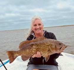 Gag Grouper caught while fishing in Crystal River