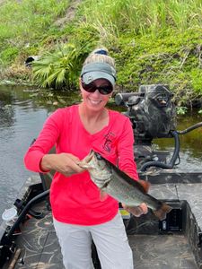Largemouth bass caught in Crystal River