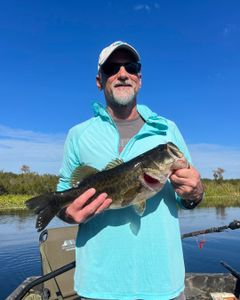 Largemouth Bass caught while fishing in Crystal River