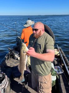 Redfish caught while fishing in Crystal River