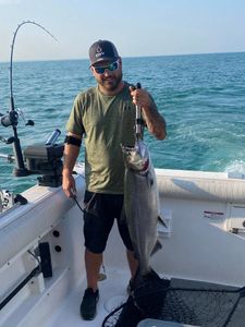 Chinook Salmon caught while fishing in NY