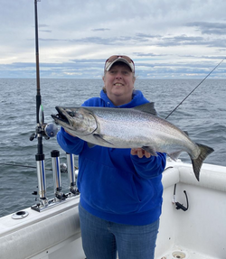 Chinook salmon caught in NY