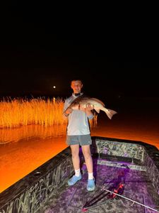 Angler fishing in LA