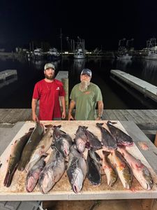 Alligator Gar and Atlantic Needlefish caught while fishing in LA