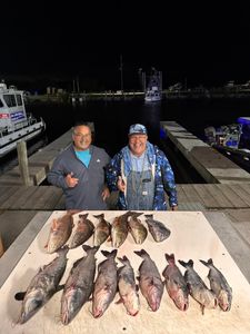 8 channel catfish caught in LA