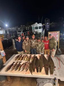 Group of people fishing in Lafitte