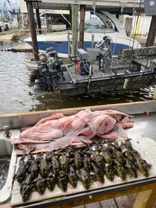 Fishing in LA