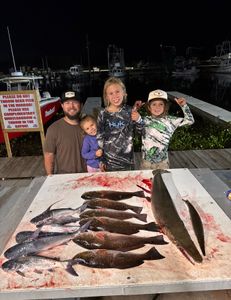 4 gafftopsail sea catfish caught by 4 people fishing in Lafitte