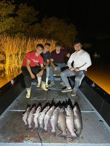4 hardhead sea catfish caught in Lafitte