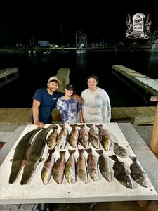 10 black drum fish caught fishing in LA
