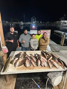 Successful alligator gar fishing trip in Lafitte Louisiana with multiple large fish displayed on cleaning table at marina dock