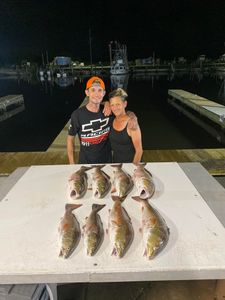 5 redfish and black drum, fishing in Lafitte