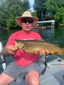 Missouri's Top Lake Fishing Charter