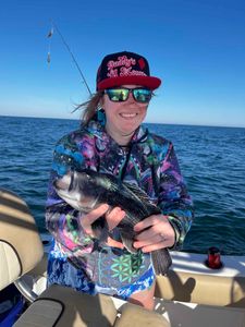 Fishing tour in Midway