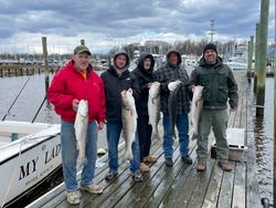 5 striped bass caught during fishing trip in NJ