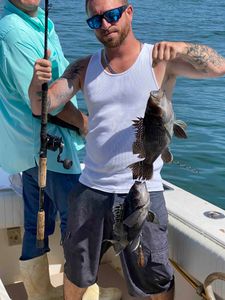 Two sea bass fish caught in Neptune City