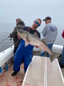 Striped Bass caught in NJ
