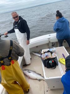 Striped bass caught in Neptune City