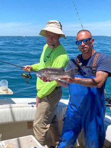 Tautog fish caught by 3 people in NJ