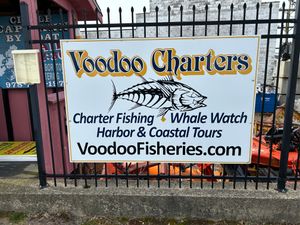 One of the best charters in Gloucester MA!