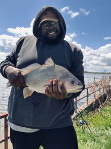 Shore Fishing Success