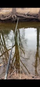 Solo Steelhead — Lake Ontario Tributary, March 17th