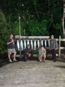 Round Two Delivers a Full Steelhead Limit
