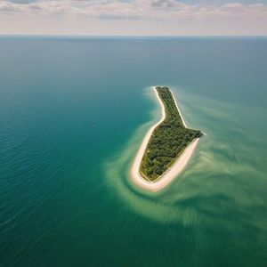 Get Your Valid Michigan Fishing License 