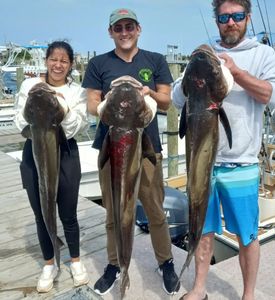 Fishing Outer Banks for Catfish