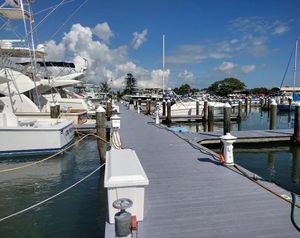 Roanoke Marsh Fishing Report