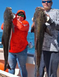 It's time to go fishing.... 