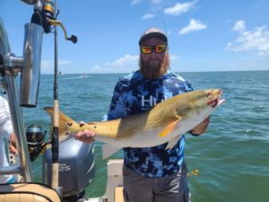 Red Drum Caught today! OBX fishing charters 2023