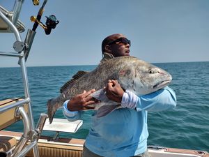 Landing the perfect catch! Look at this Black Drum